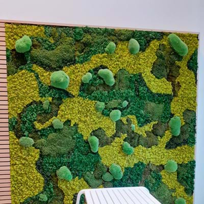 bespoke preserved moss wall
